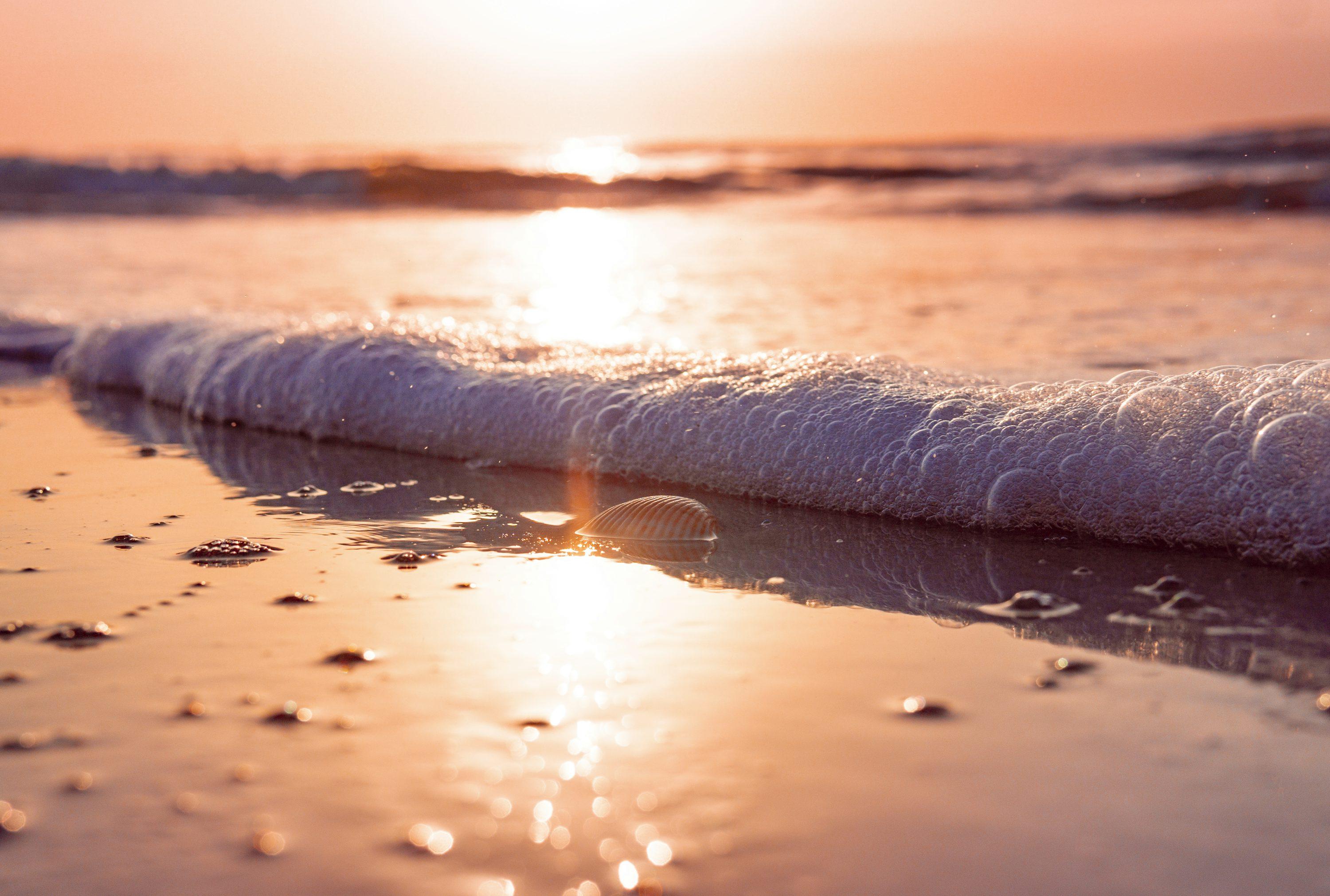 Ocean-5
