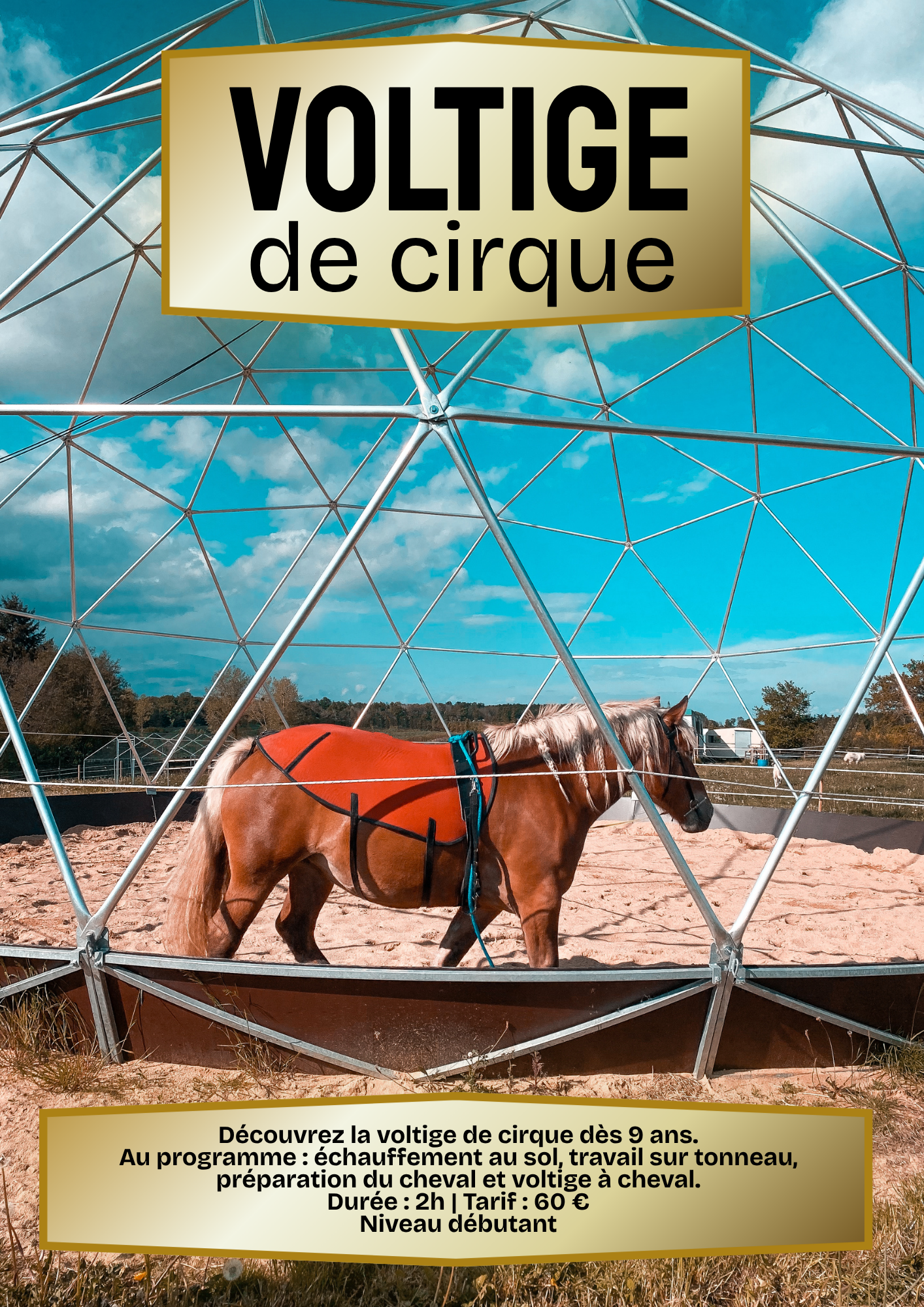 Voltige-equestre