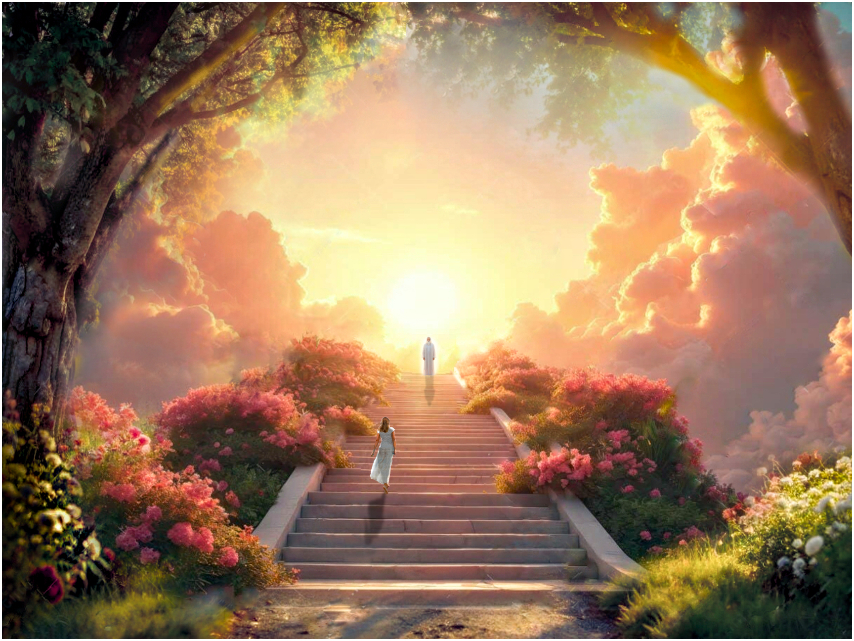 Contemplation-final