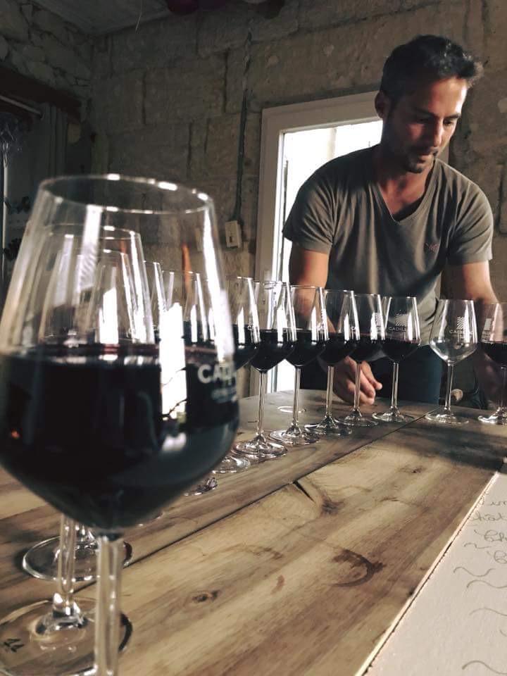 Pourquoi faut-il déguster plusieurs fois un même vin ?