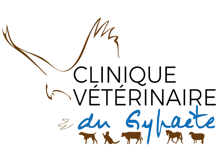 Logo-Gypaete