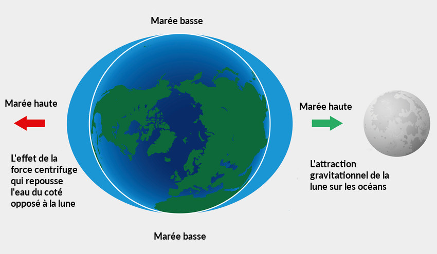 Marees-hautes-basses