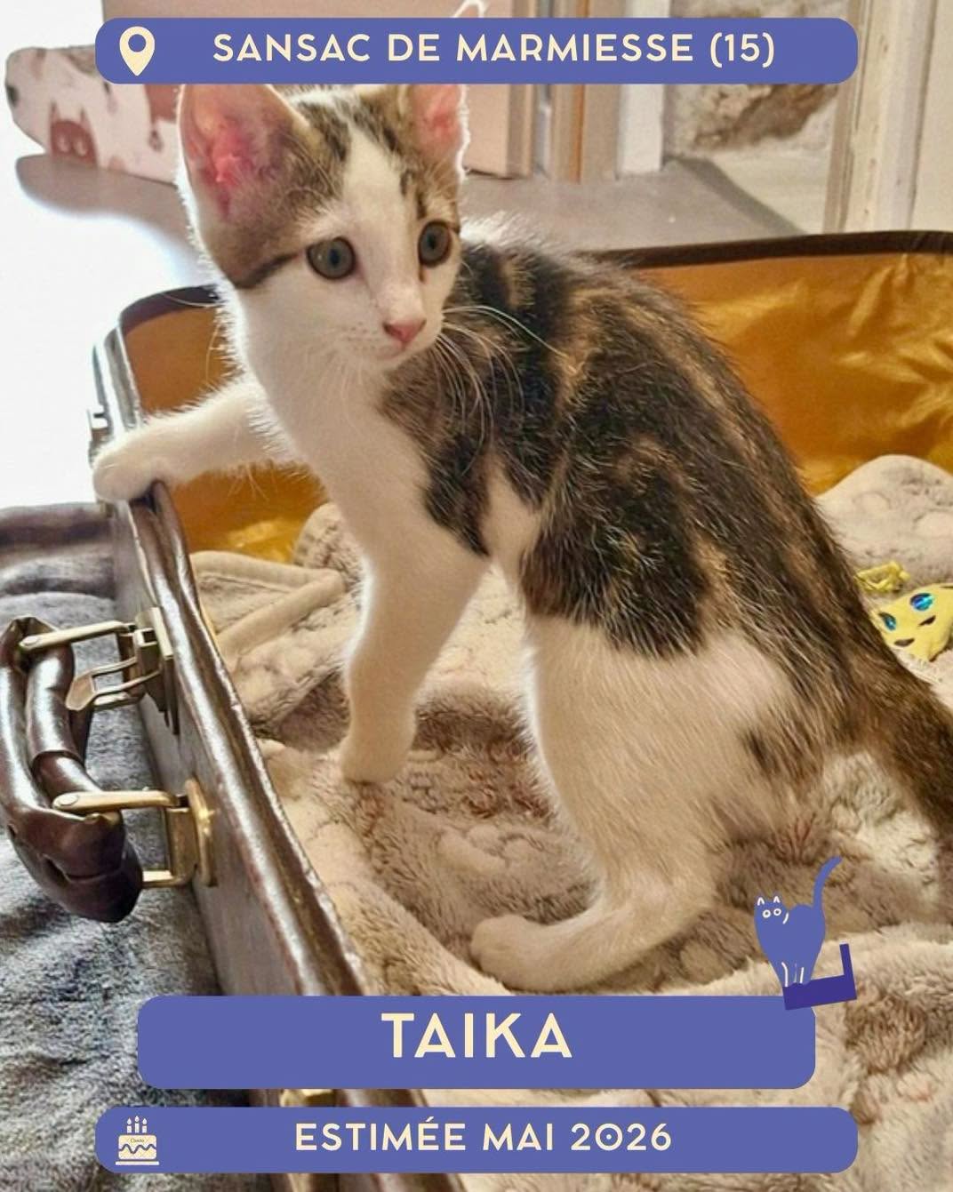 Taika
