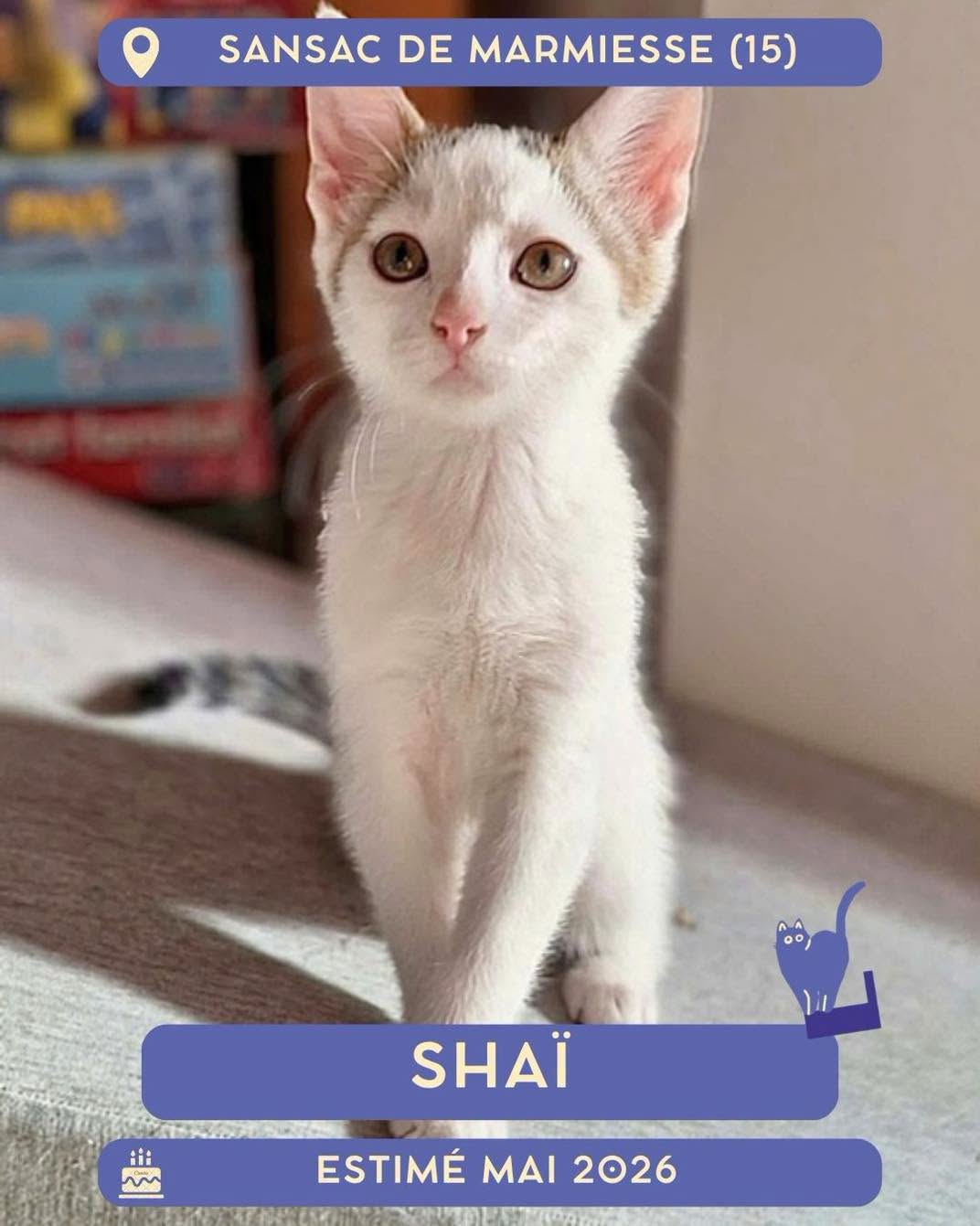 Shai