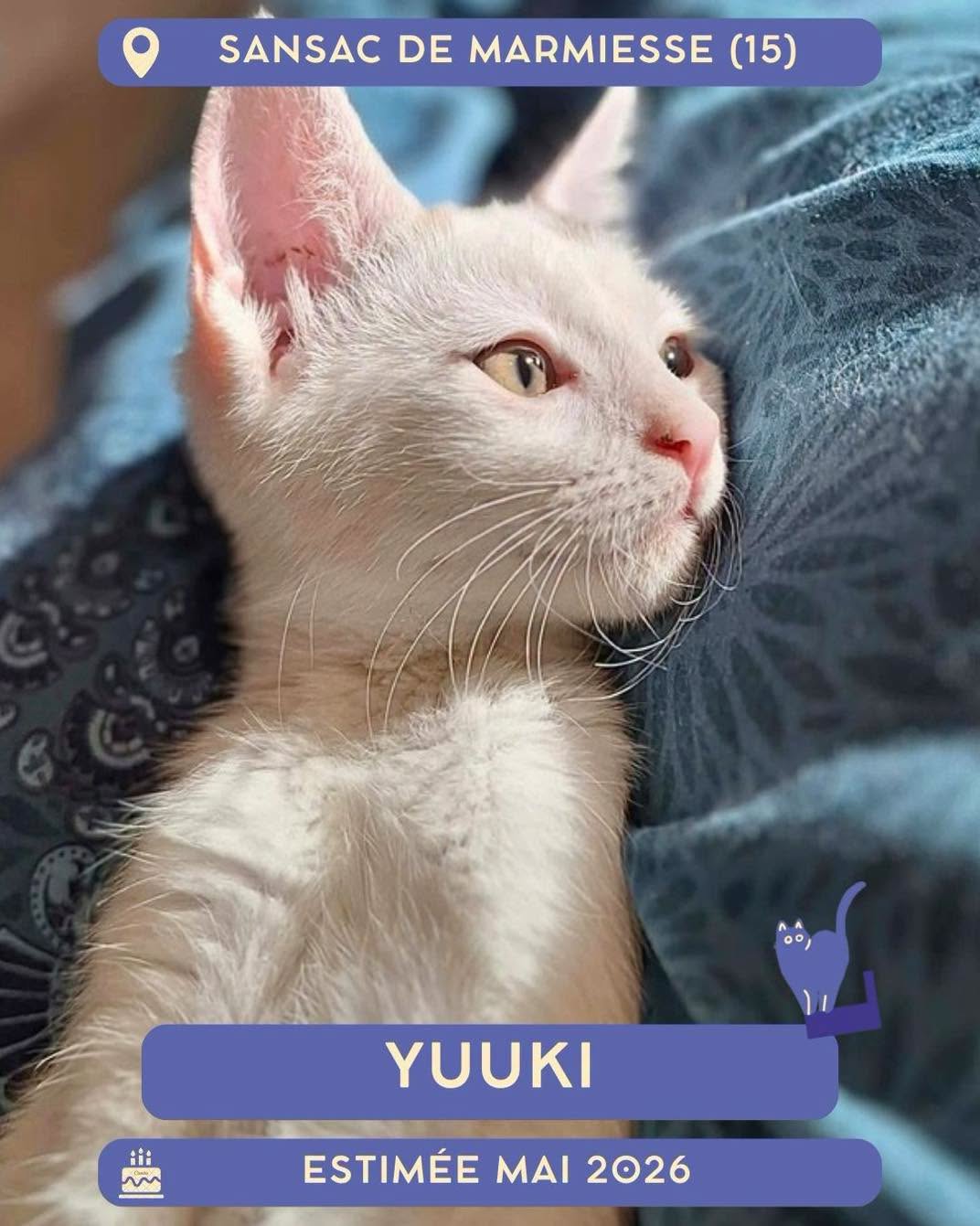 Yuuki