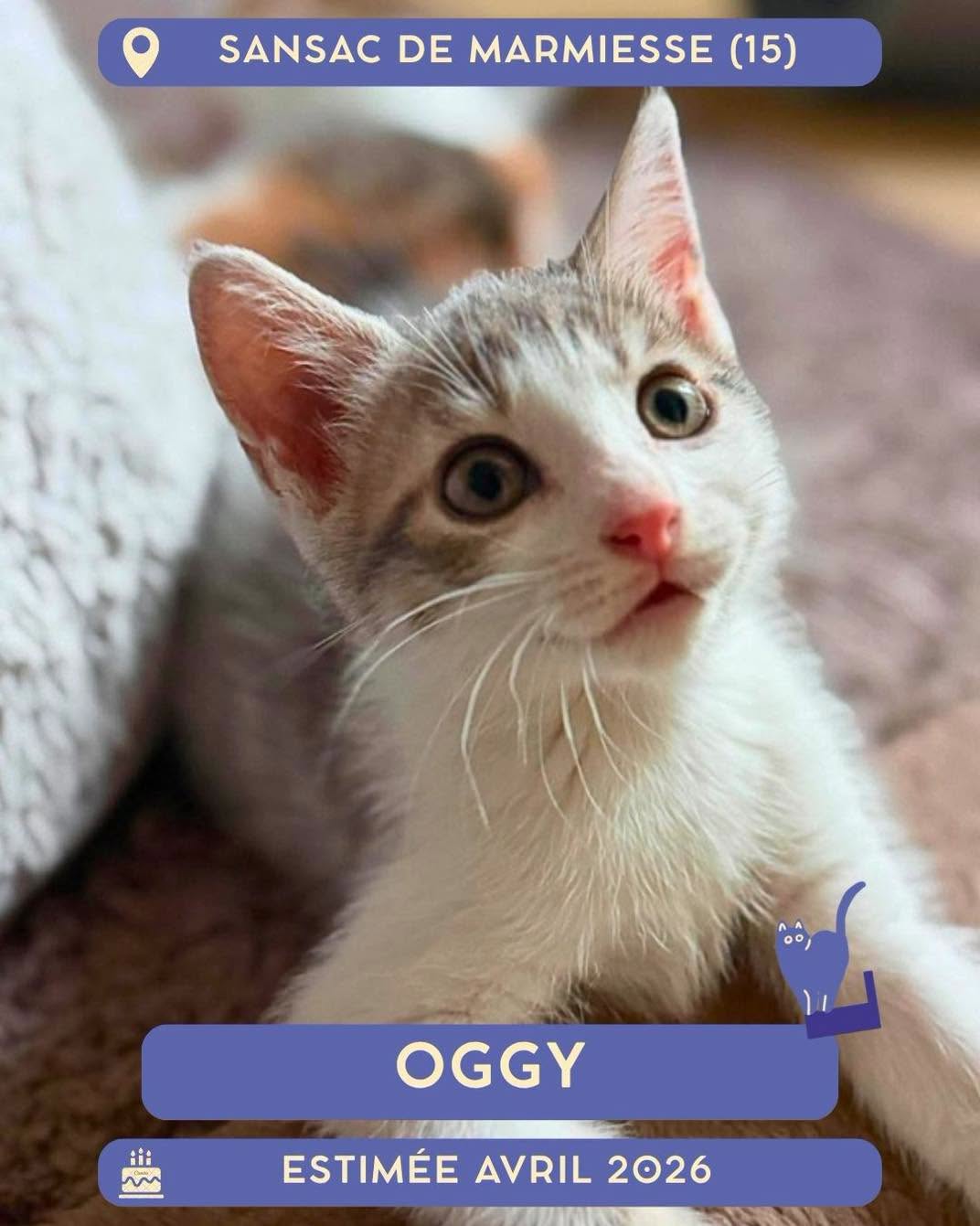 Oggy