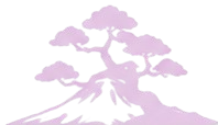 Bonsaï japonais, symbole de patience, d'équilibre et des valeurs du jujutsu traditionnel.