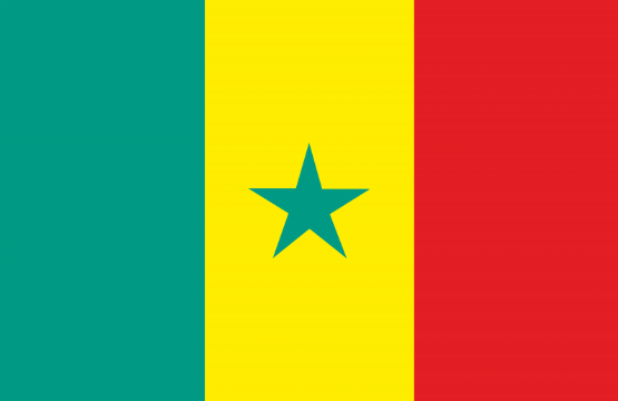 Drapeau-senegal