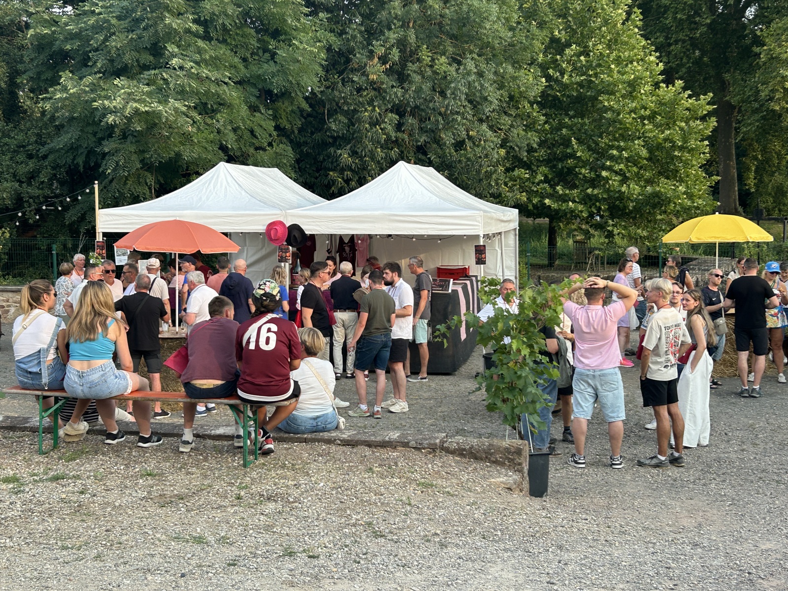 IMG 7623-001