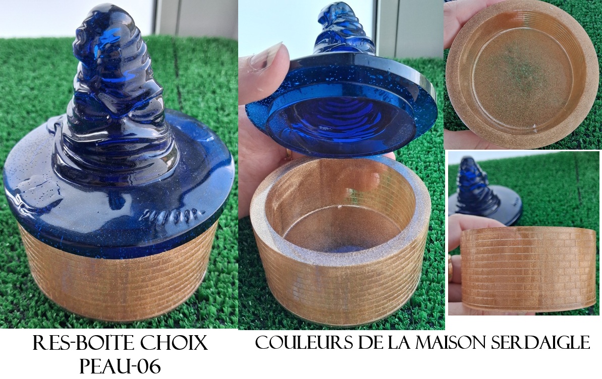 Res boite choix peau 06