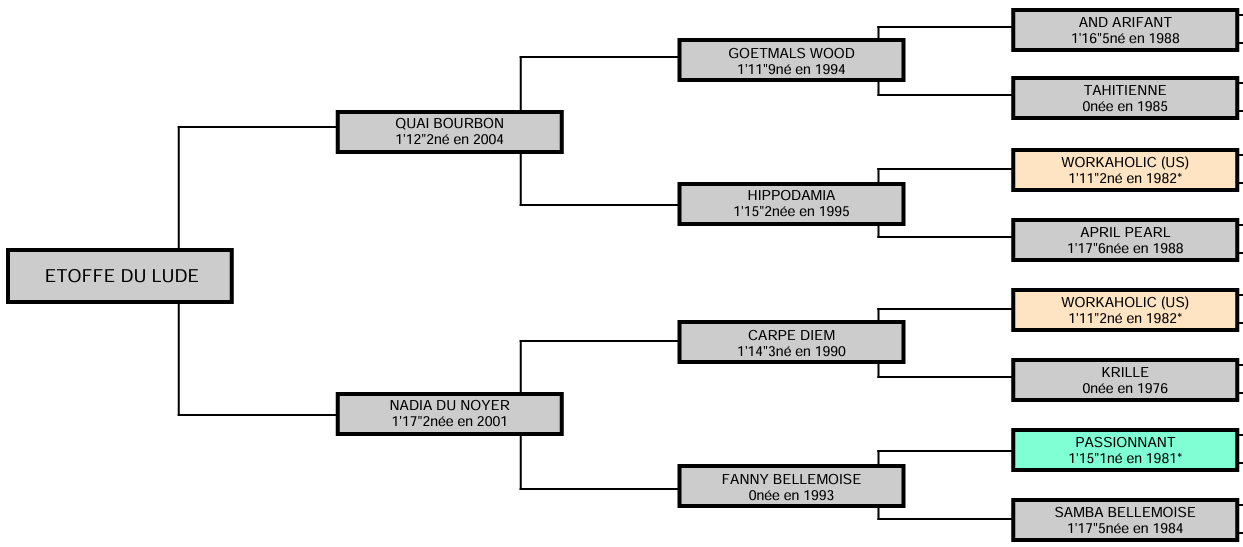 Etoffe-pedigree