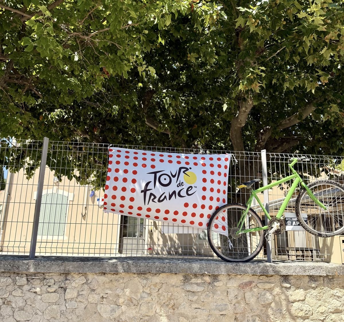 Tour-de-France