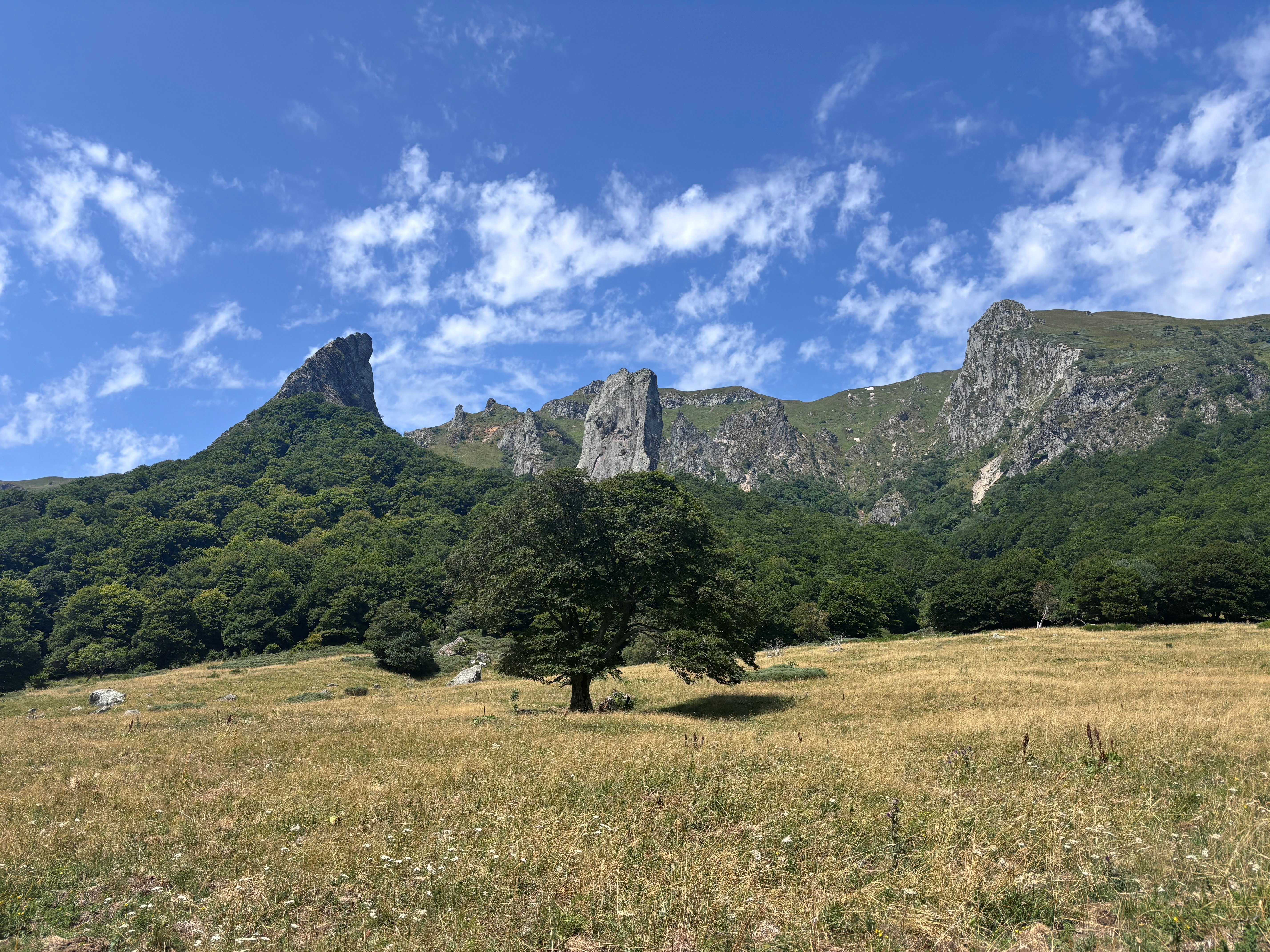 Dent-de-la-rancune