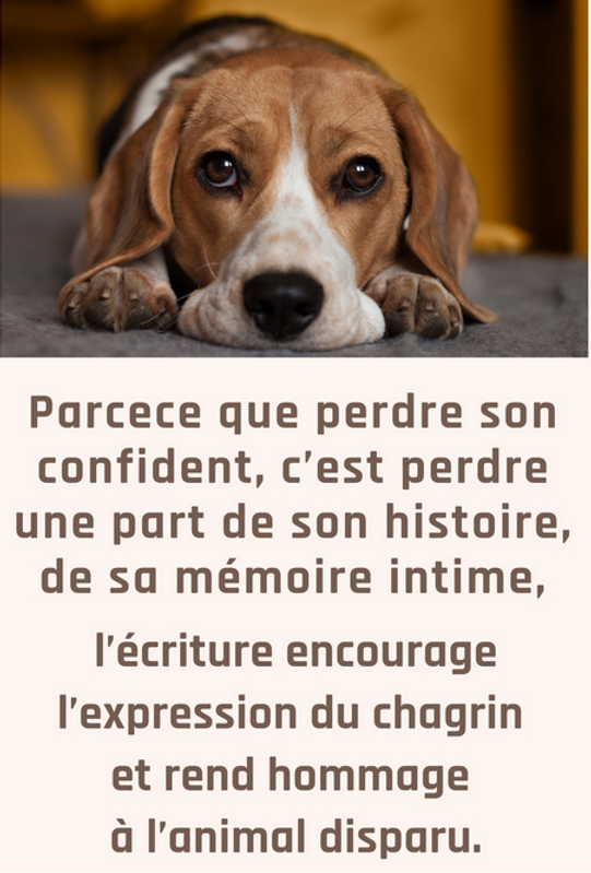 L'écriture comme expression des émotions dans le deuil animalier