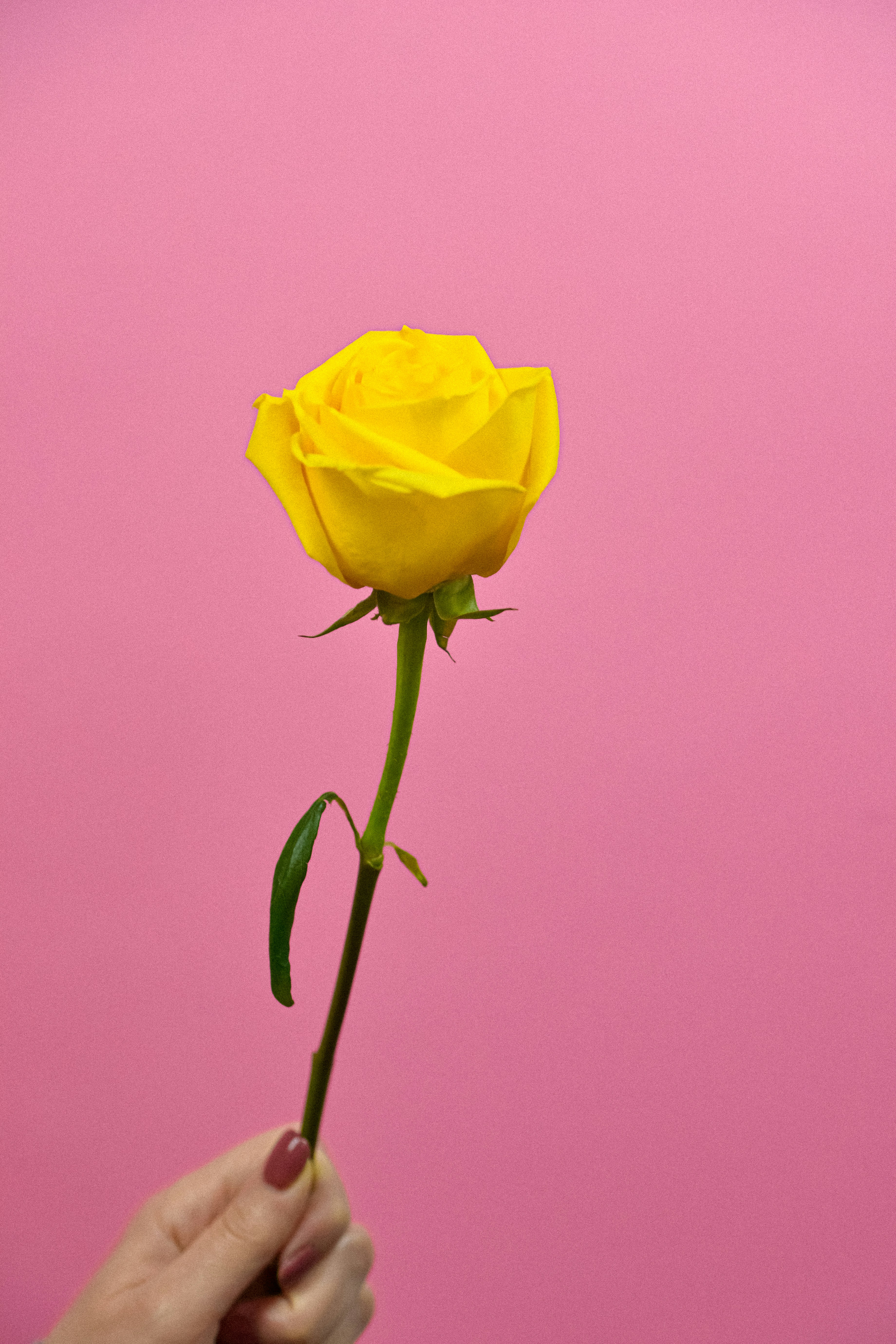 Jon-bagnato-uJm9z7uHITI-unsplash