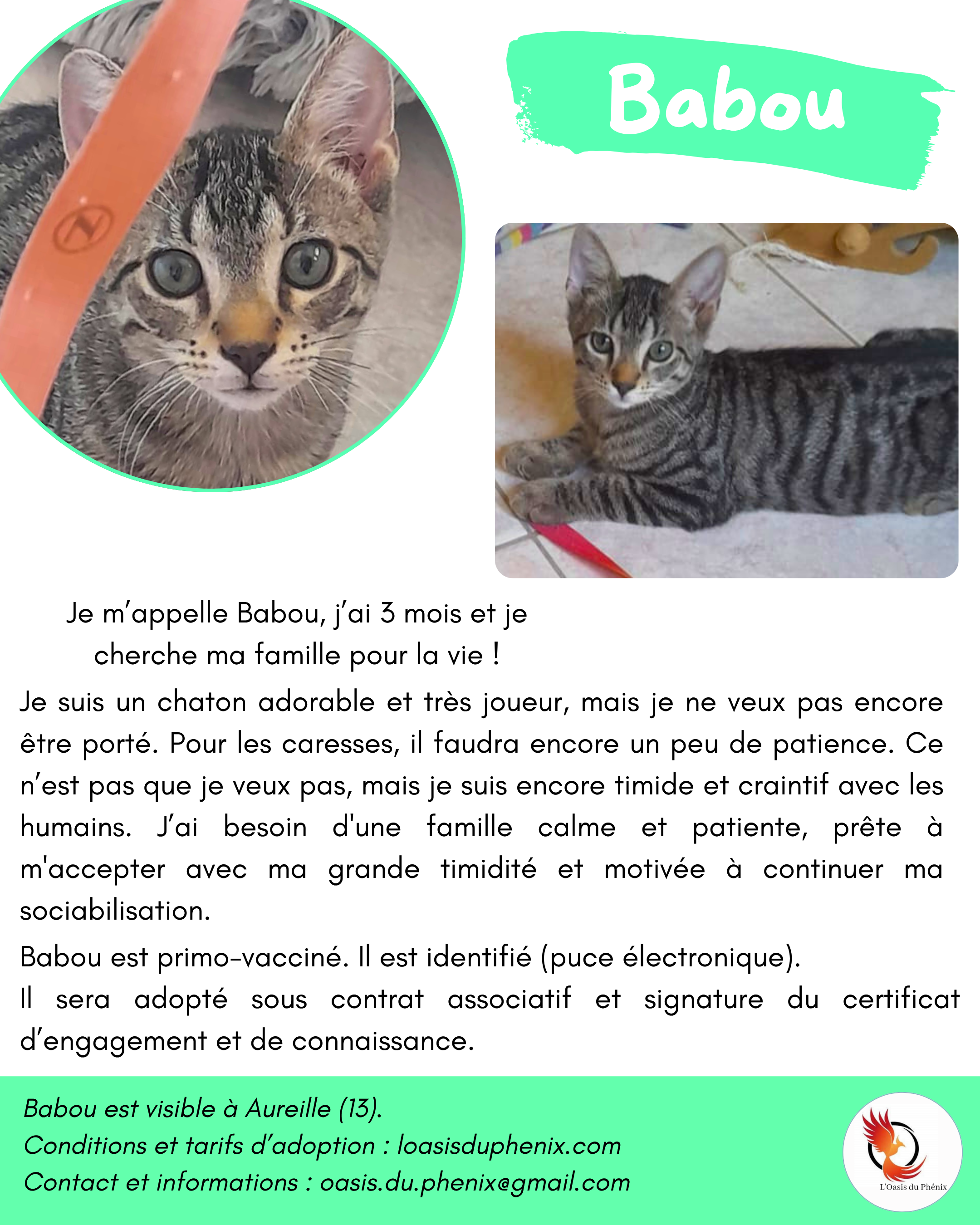 Babou