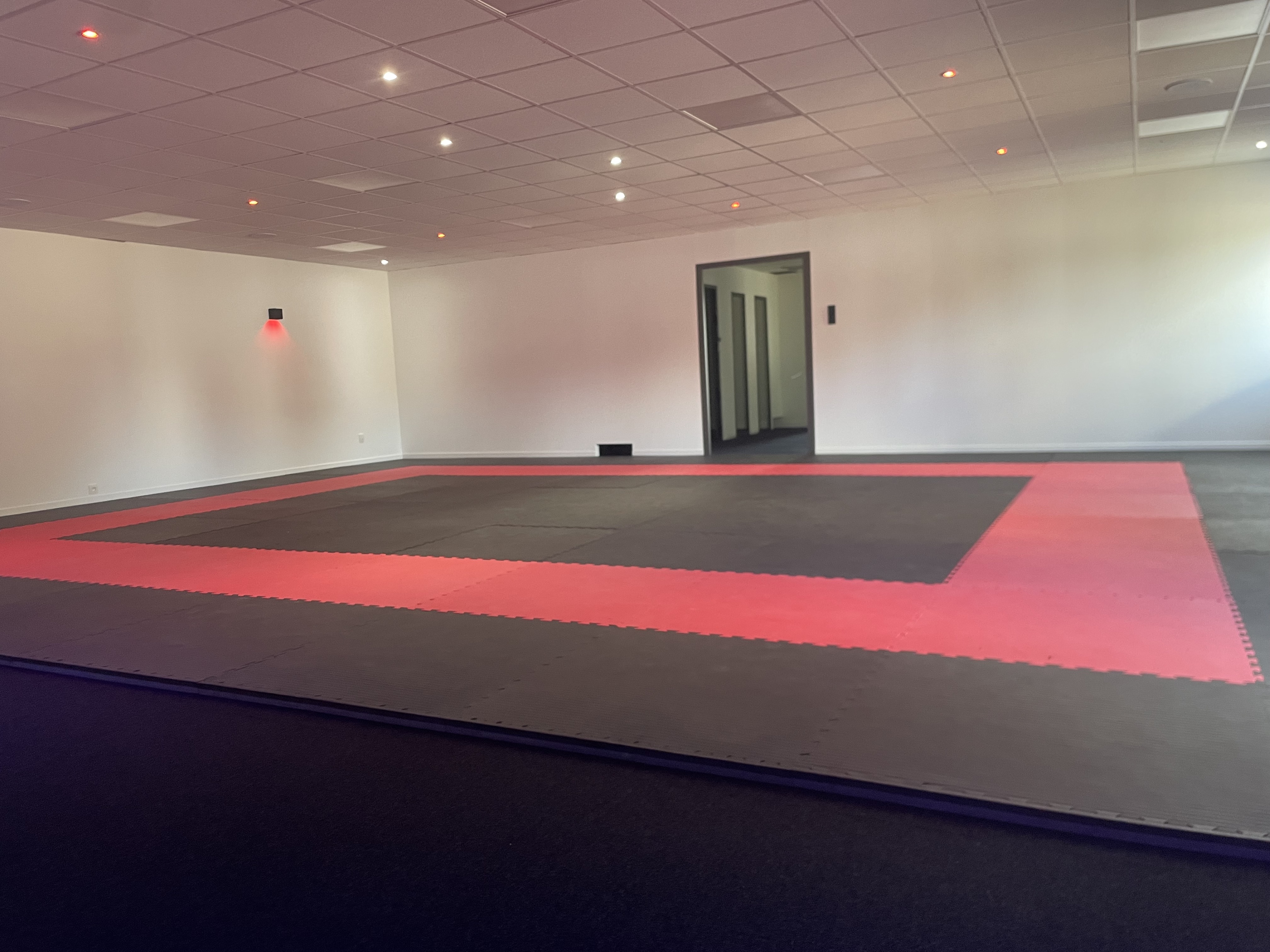 Dojo studio