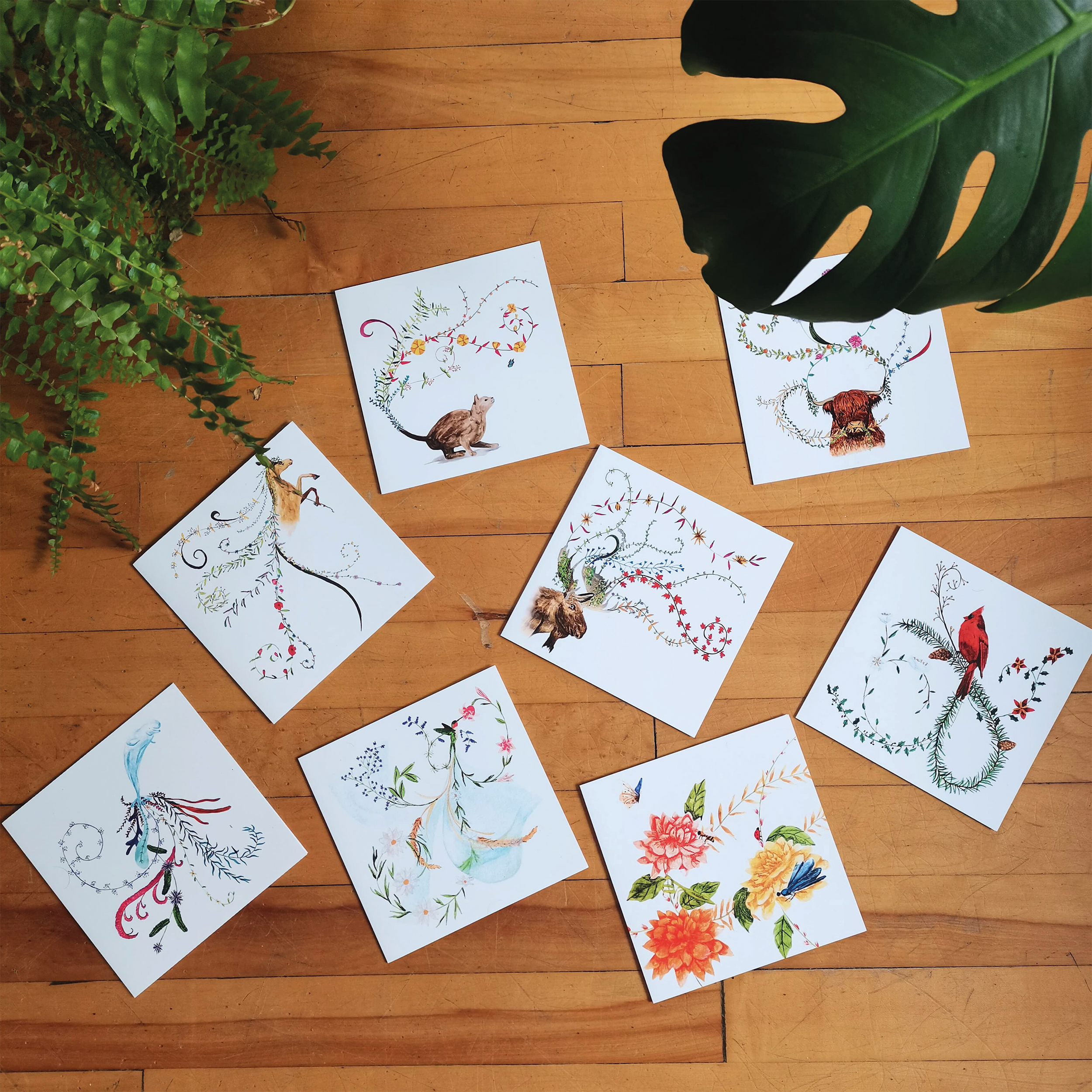 Cartes illustrees 5