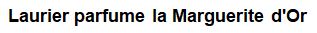 2026-07-28-Pons-conclusion-titre