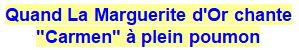 2026-07-28-Pons-introduction-titre