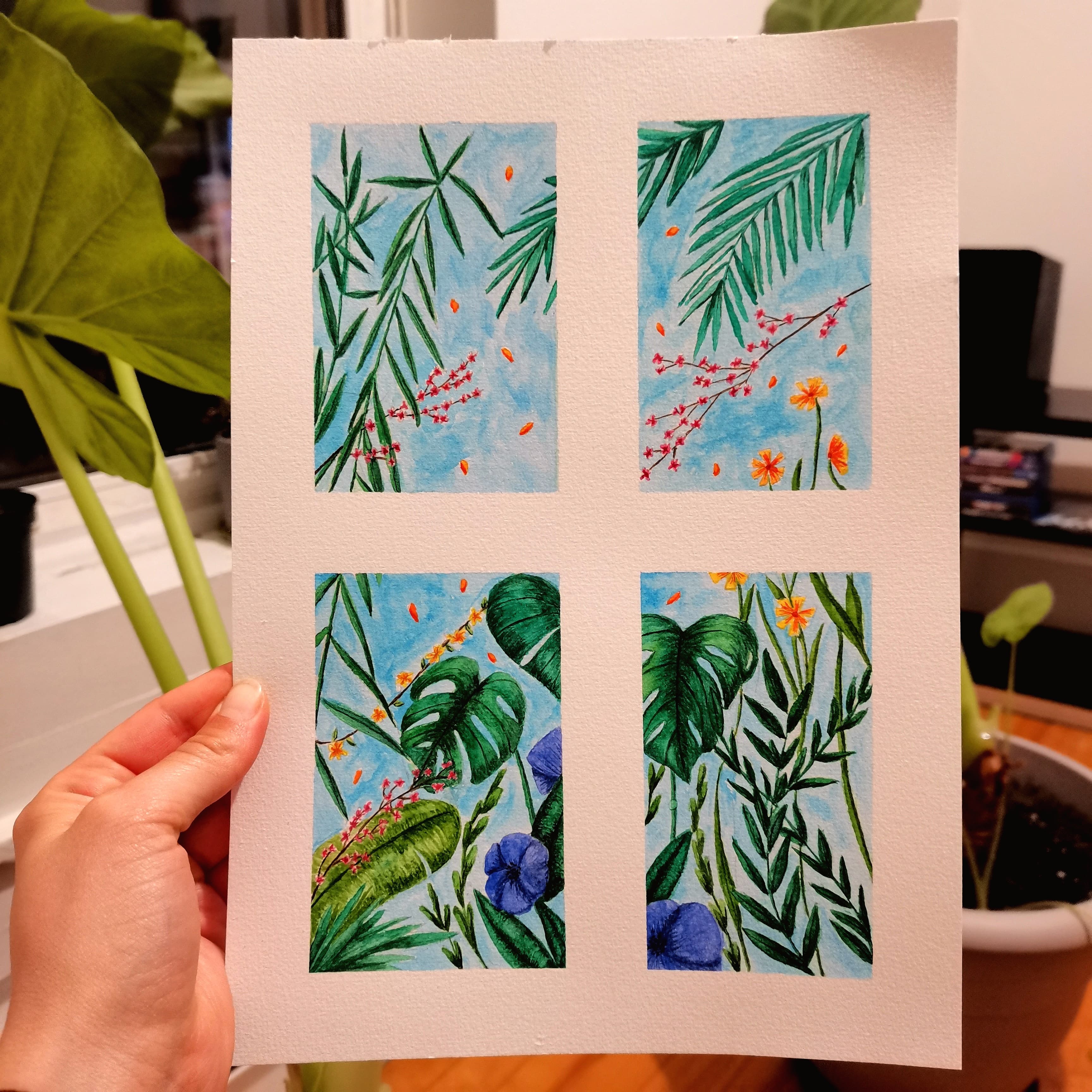 Illu plantes