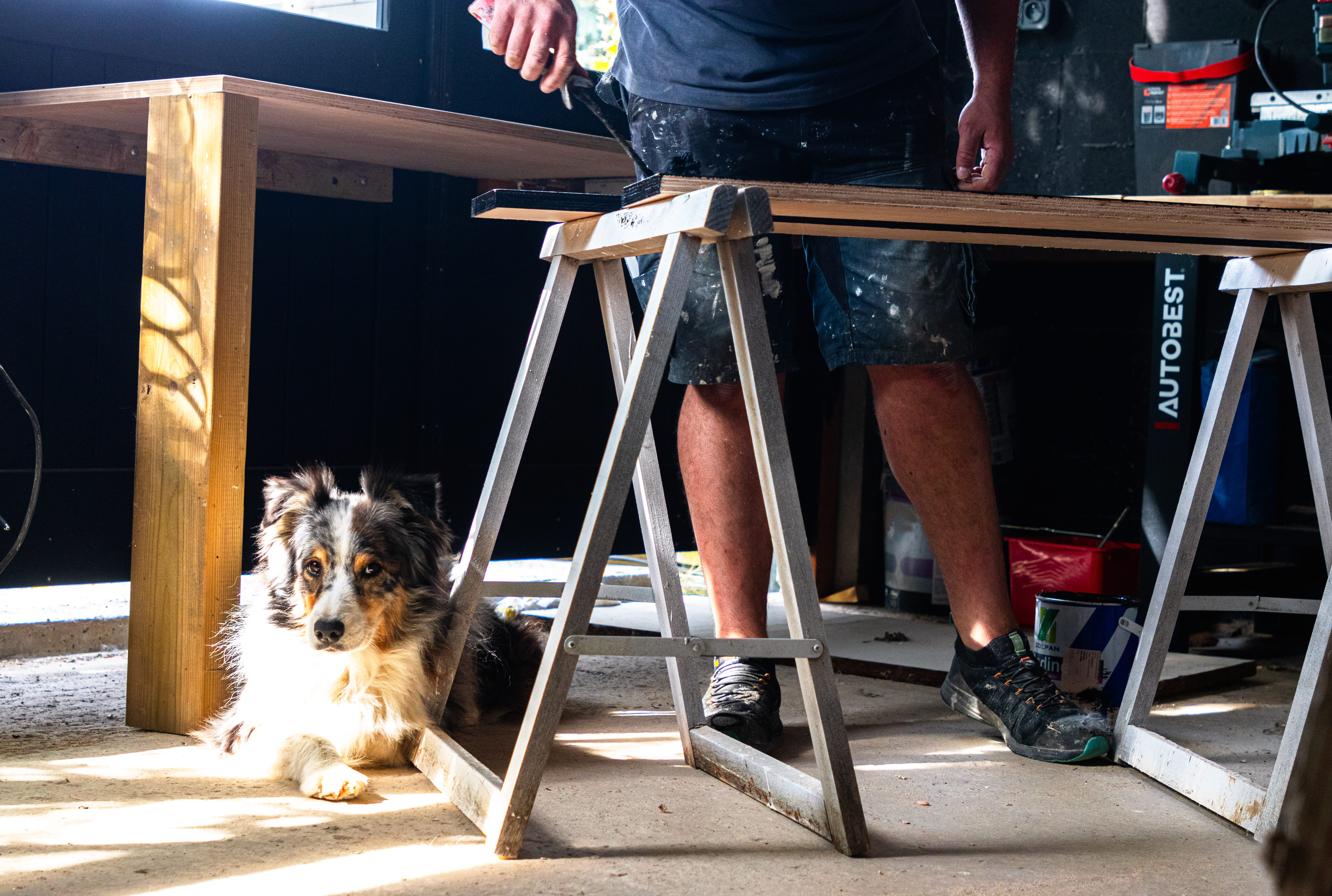 Benoît, artisan peintre de L'Atelier du Normand, au travail dans son atelier en Seine-Maritime.