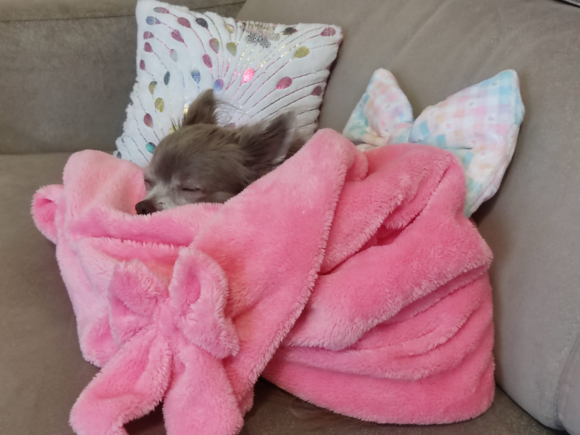 4898