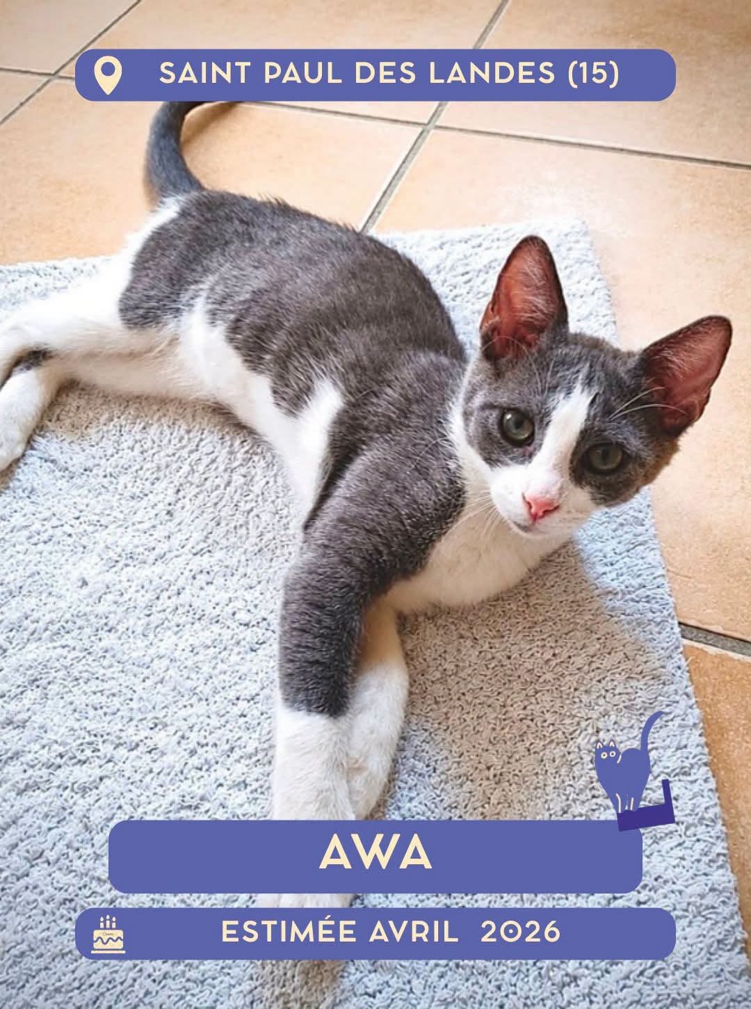 Awa