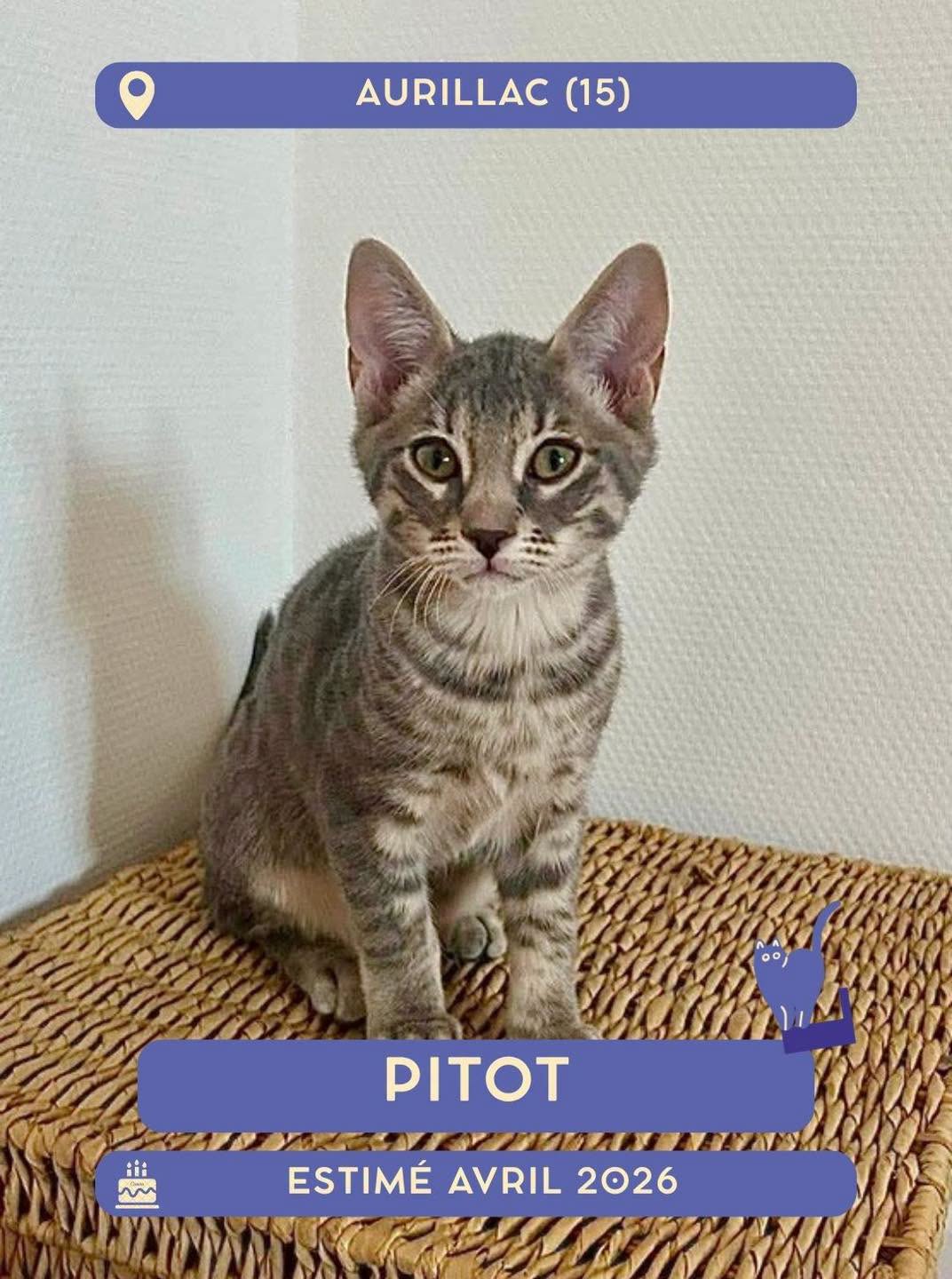 Pitot
