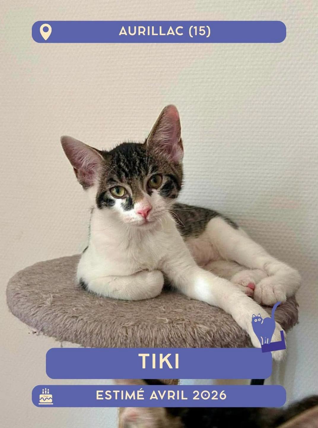 Tiki