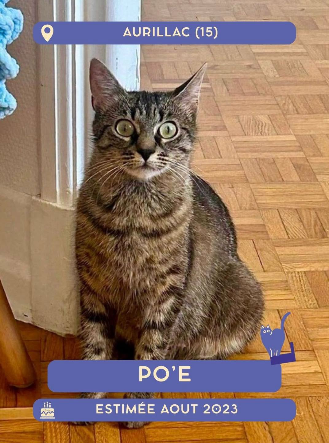 Poe