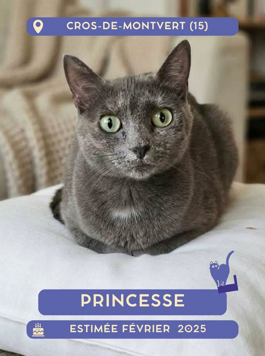 Princesse