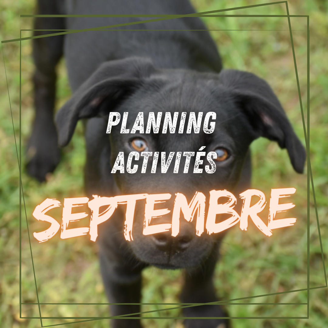 Planning activités de Septembre