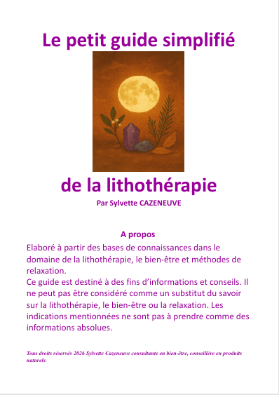 Petitguidelithoweb