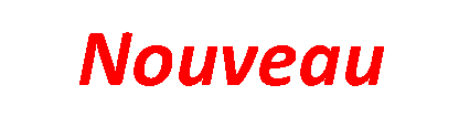 Nouveau-clignotant