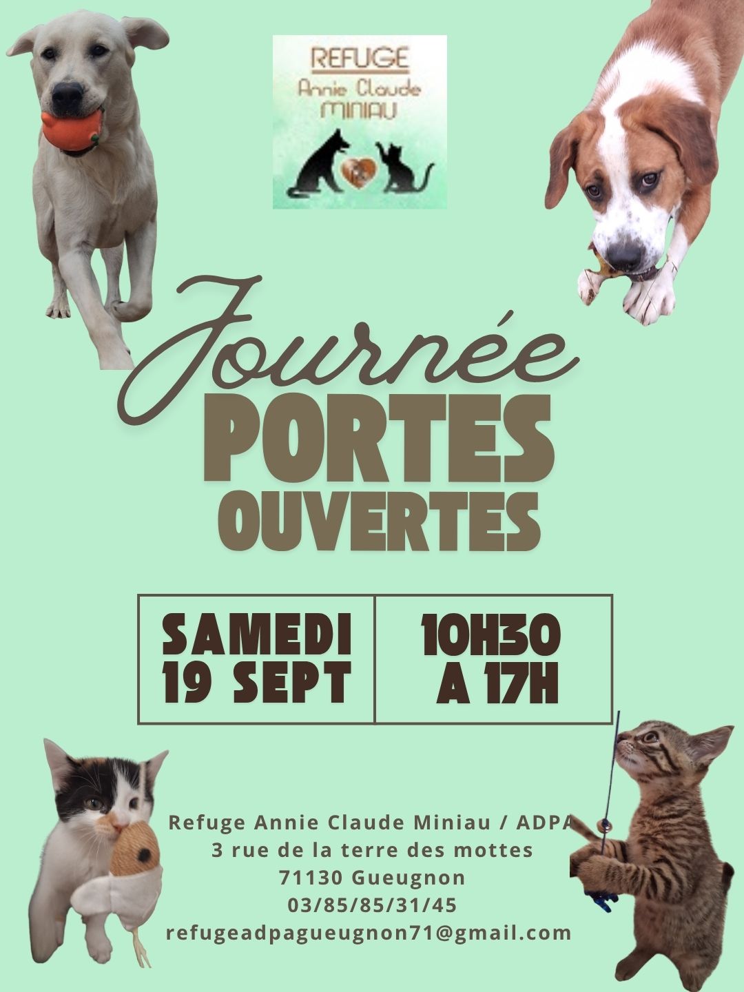 Vert-Bleu-Simple-Tennis-Journee-Portes-Ouvertes-Publication-Instagram