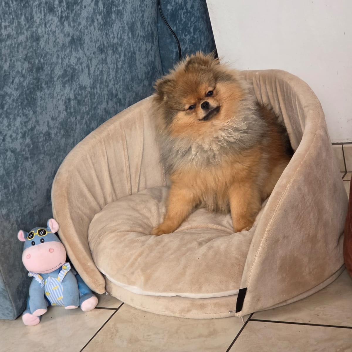 15123