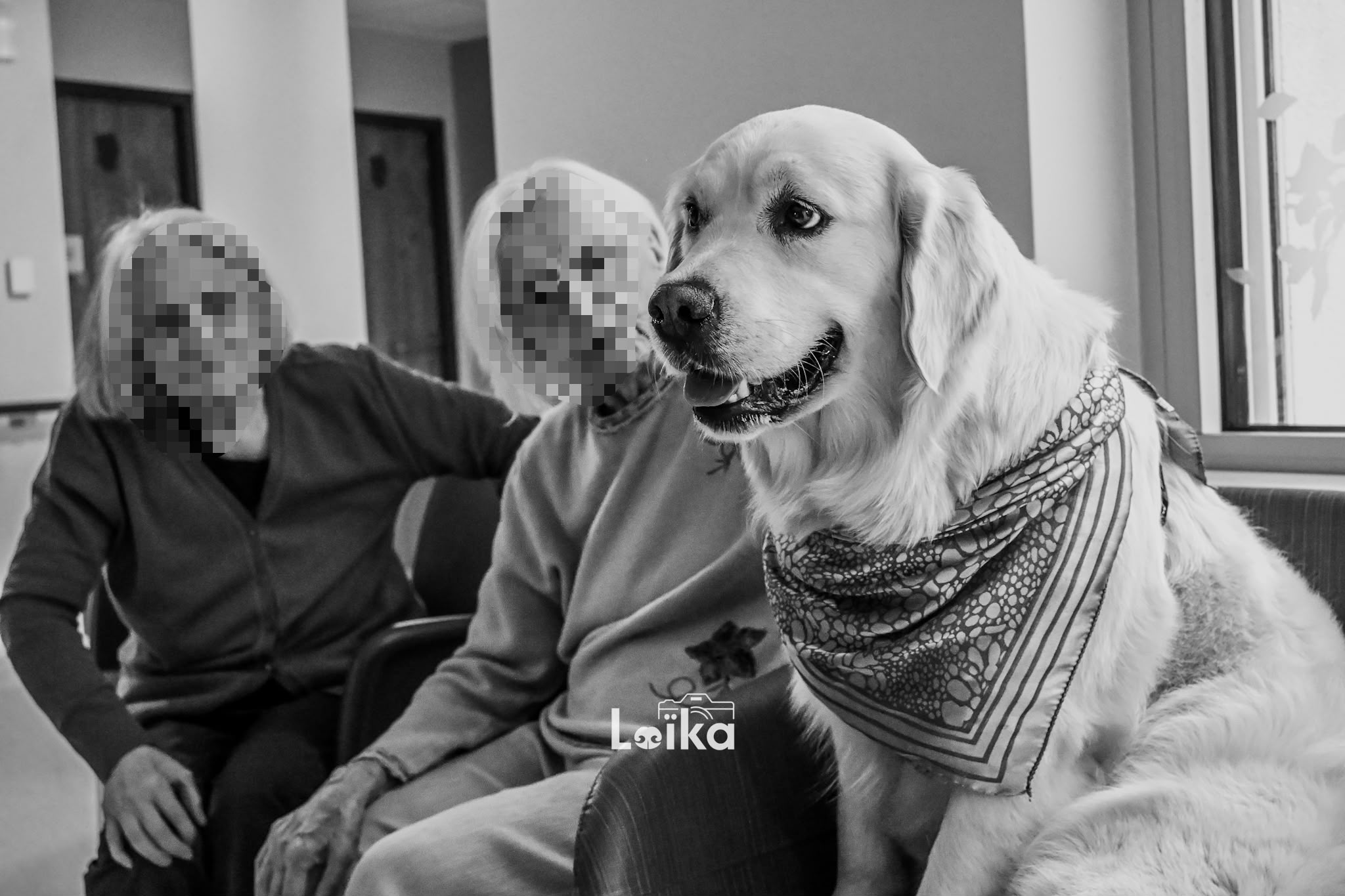 Photo-SYLVAIN-avec-chien