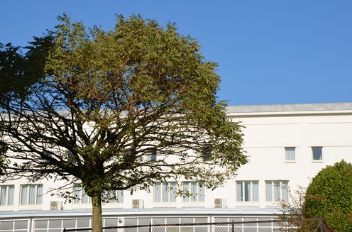 Galerie20