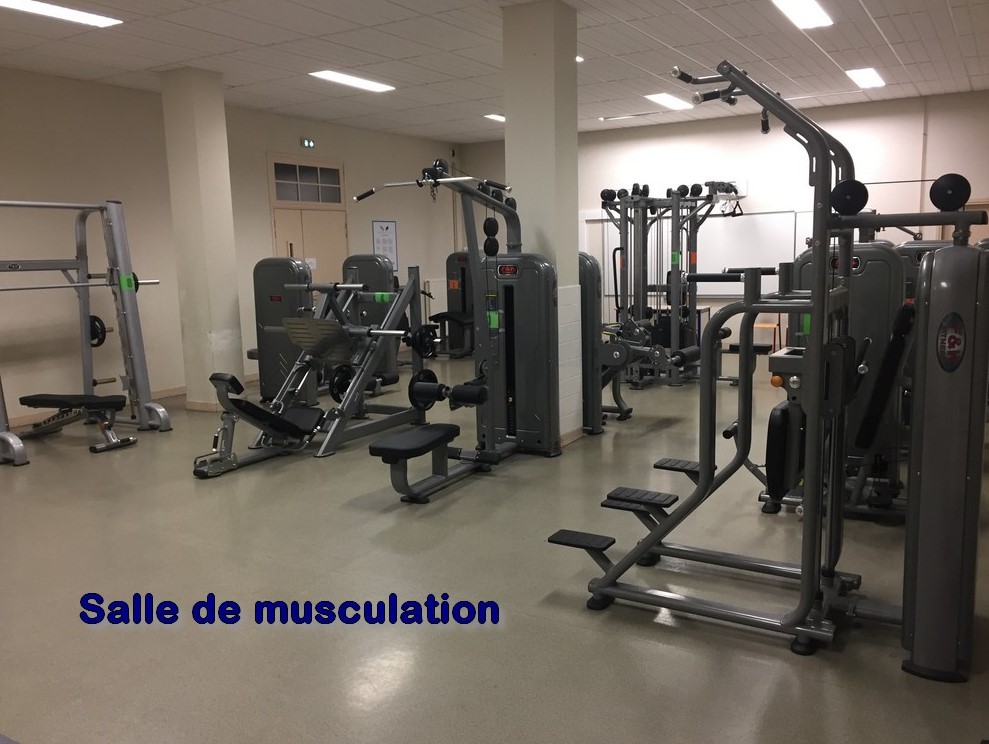 Galerie31