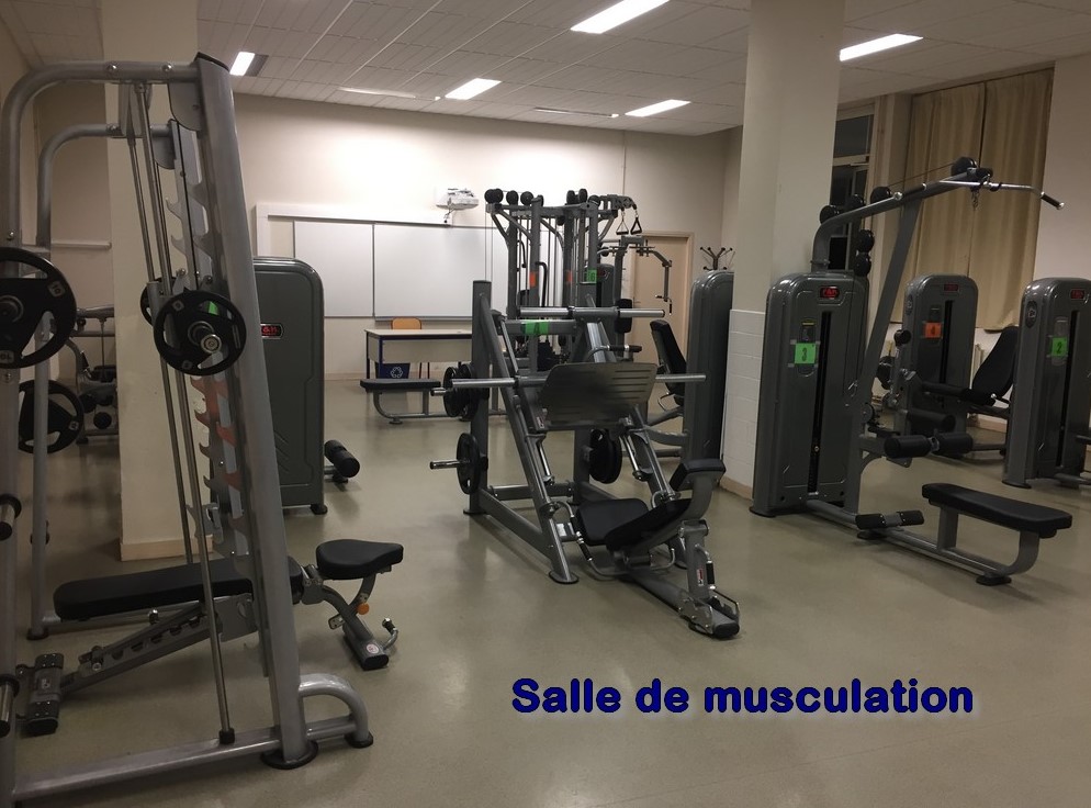Galerie33