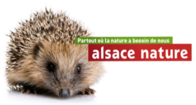 Alsace-nature2