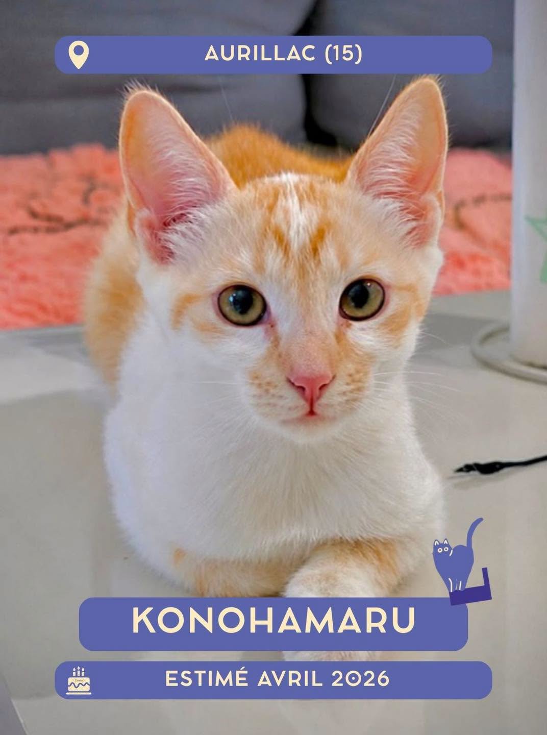 Konohamaru