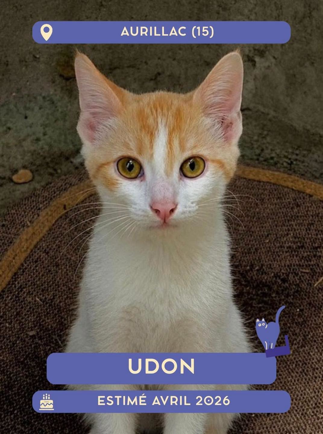 Udon