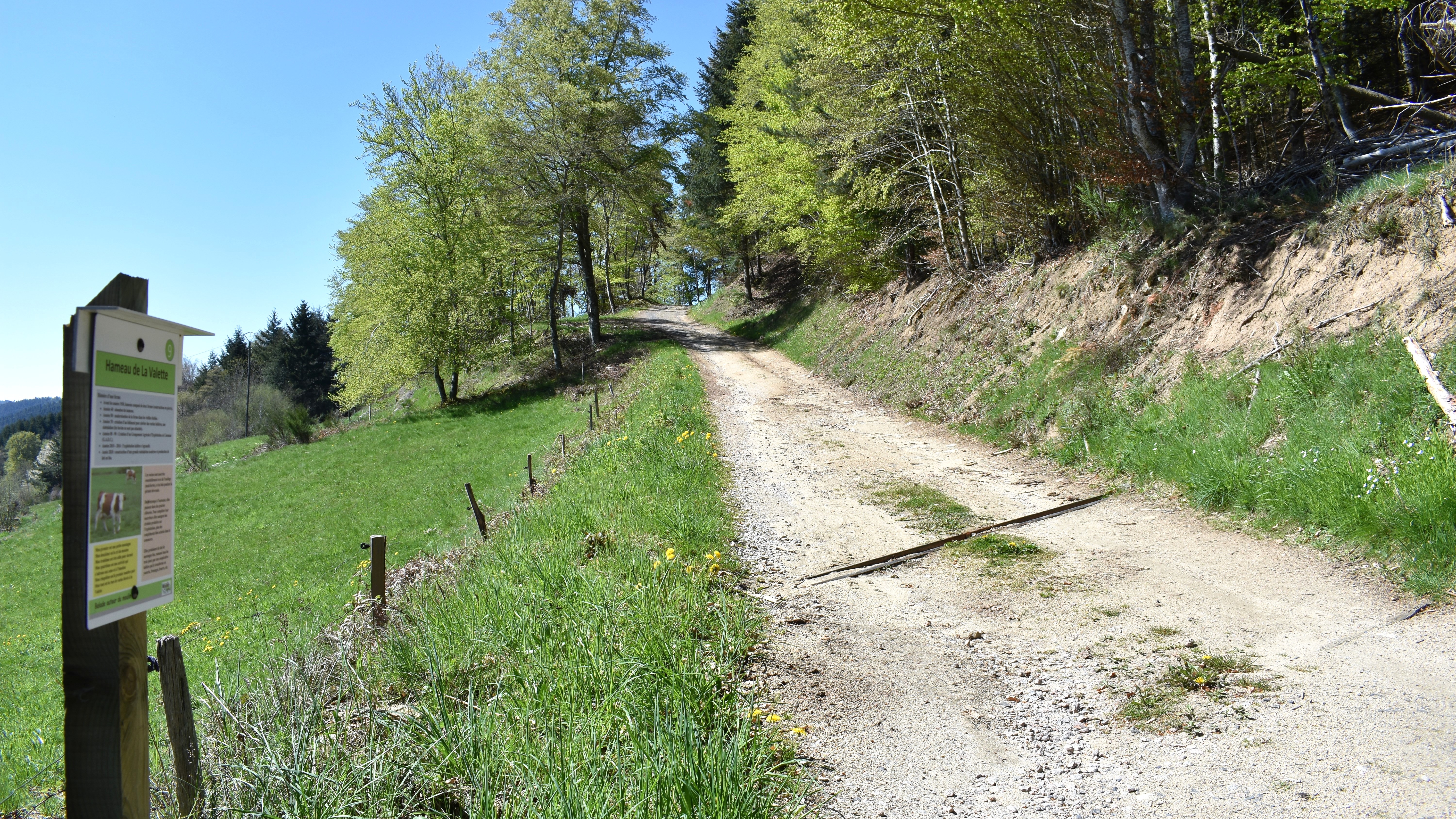 Sentier-3