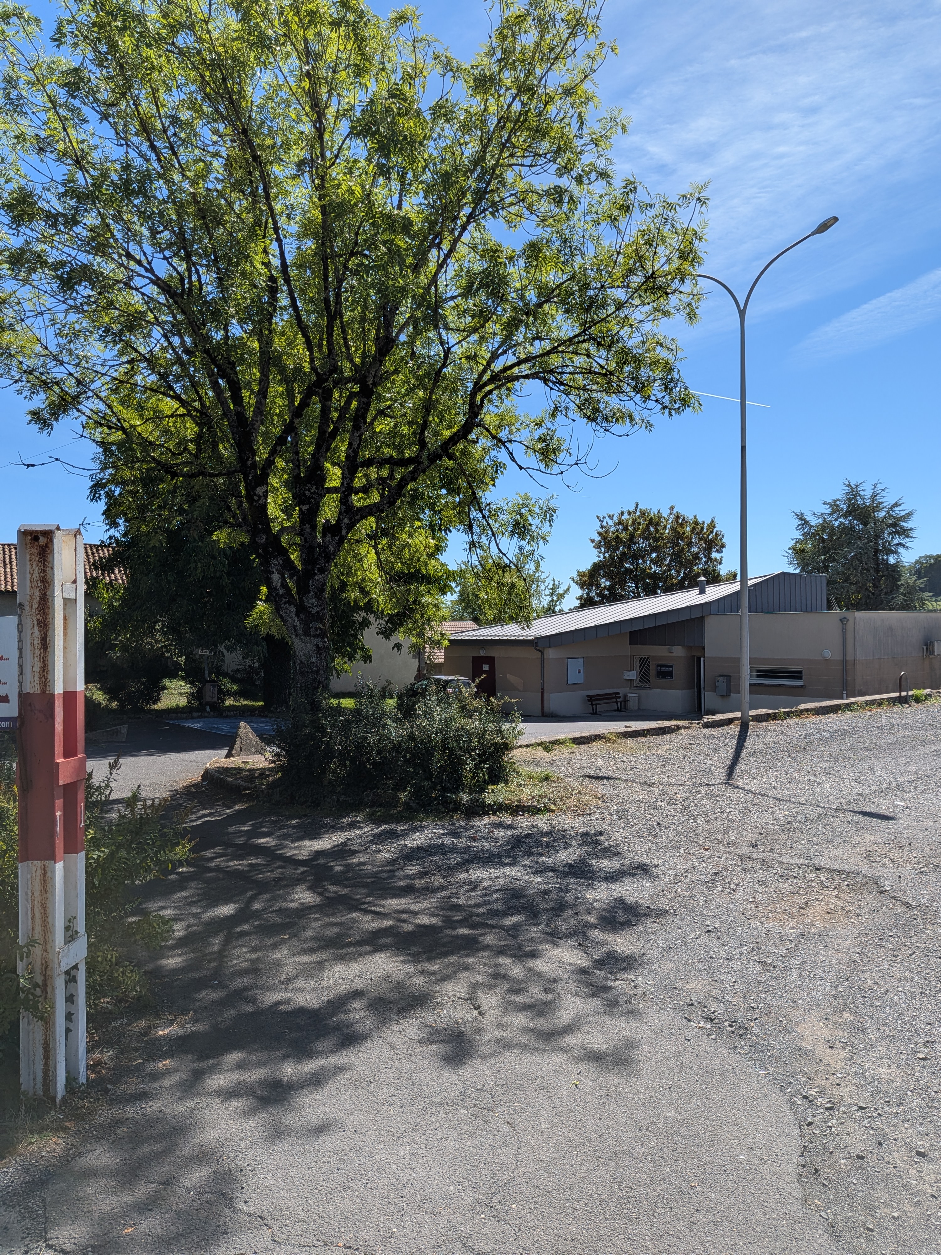 Pxl 20260903 125812771 raw 01