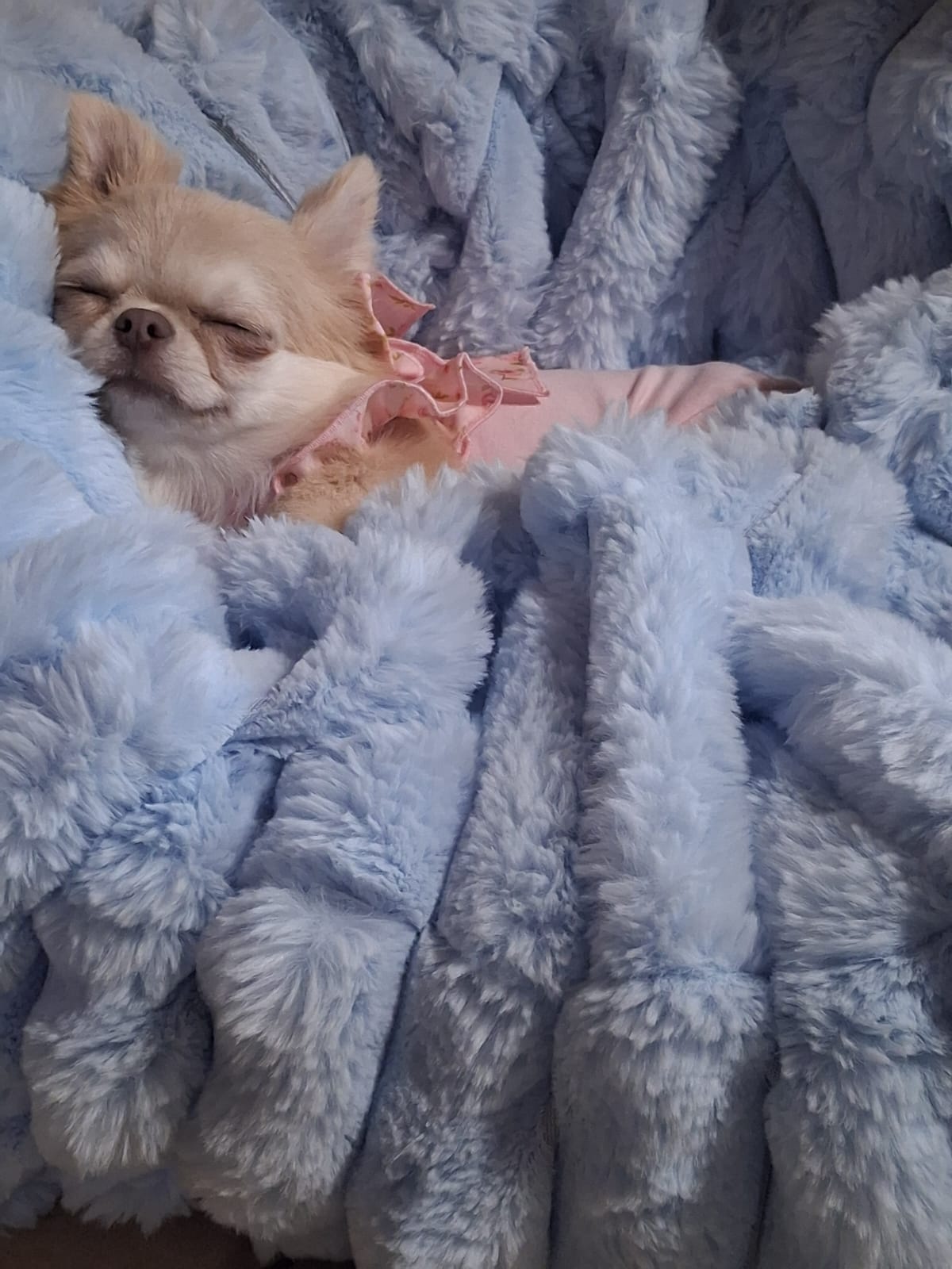 16129