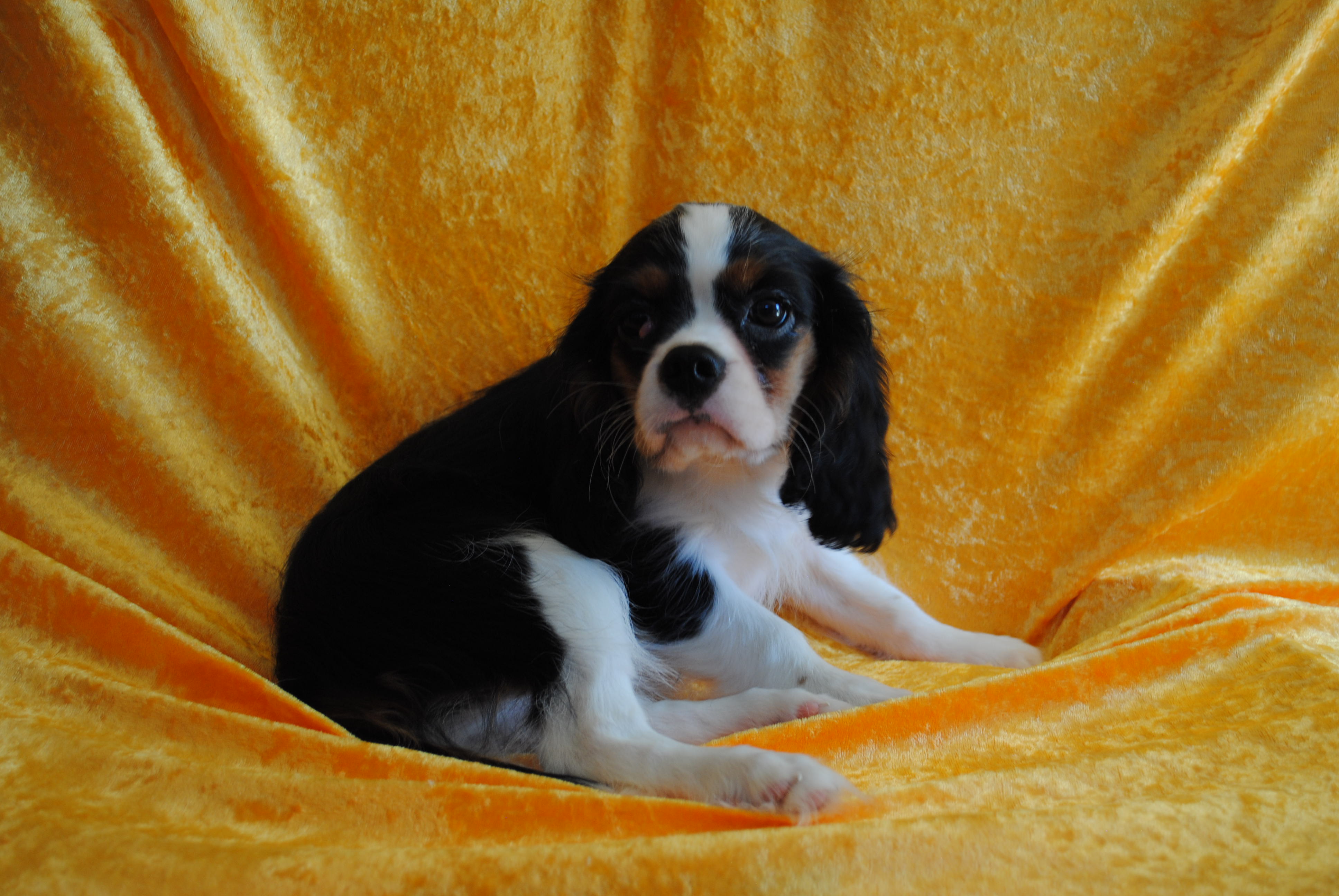 Dsc 0053 copie