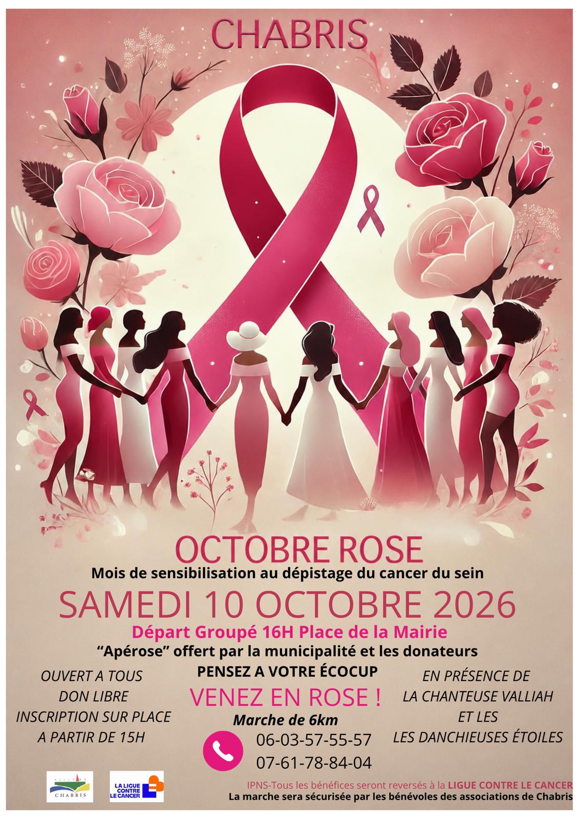 Octobre Rose à Chabris