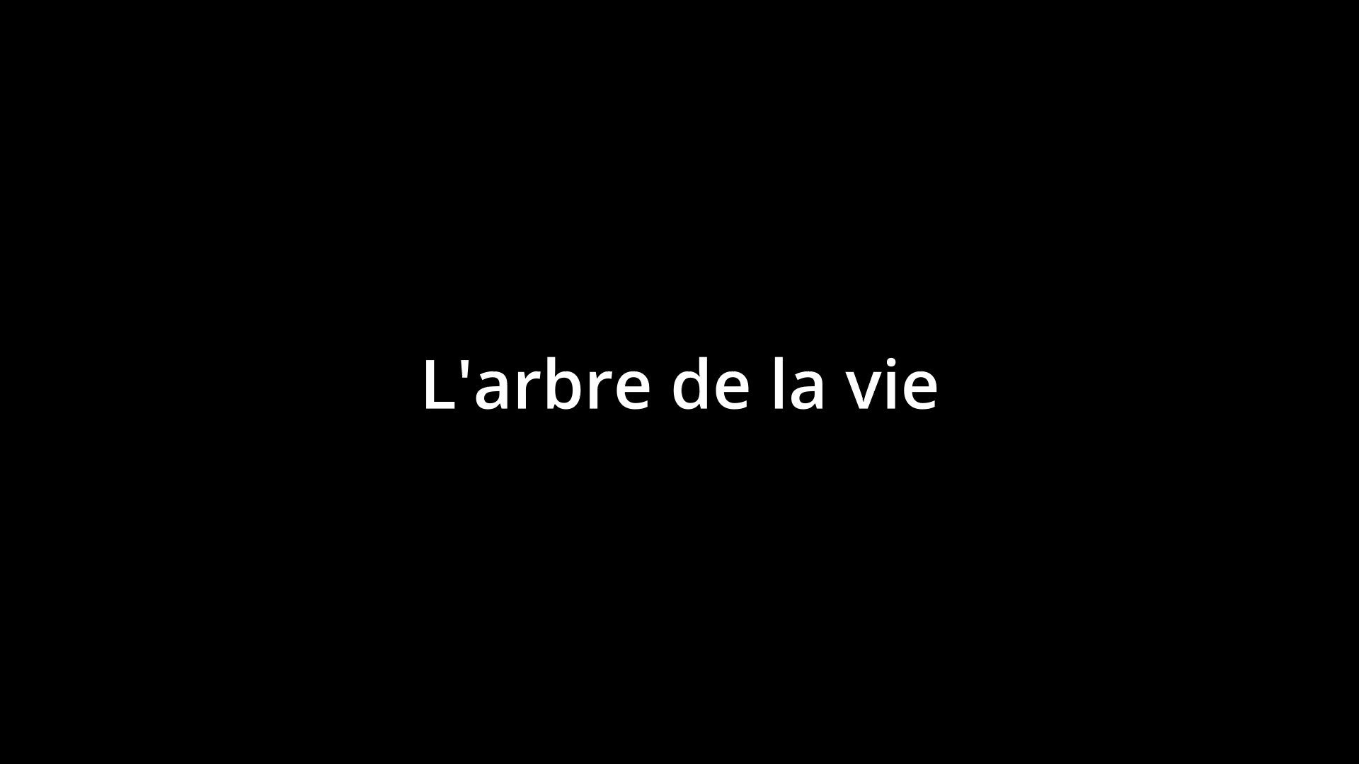 0 l arbredelavie mov 01 00 00 00 still001